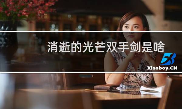 消逝的光芒双手剑是啥