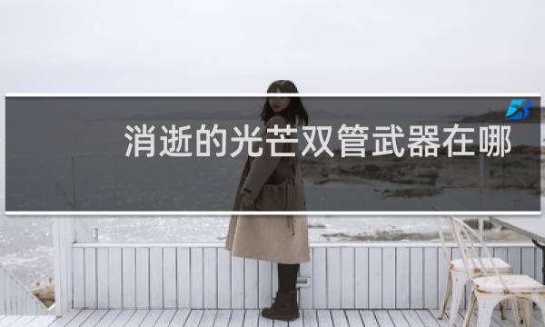 消逝的光芒双管武器在哪