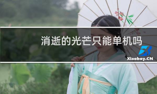 消逝的光芒只能单机吗
