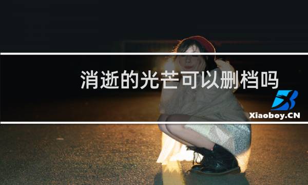 消逝的光芒可以删档吗