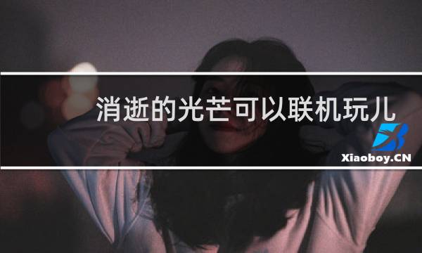 消逝的光芒可以联机玩儿