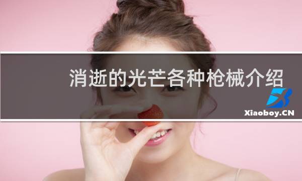 消逝的光芒各种枪械介绍