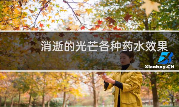 消逝的光芒各种药水效果
