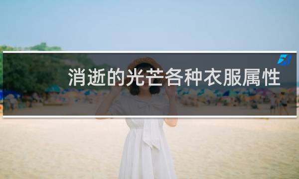 消逝的光芒各种衣服属性
