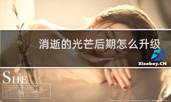 消逝的光芒后期怎么升级