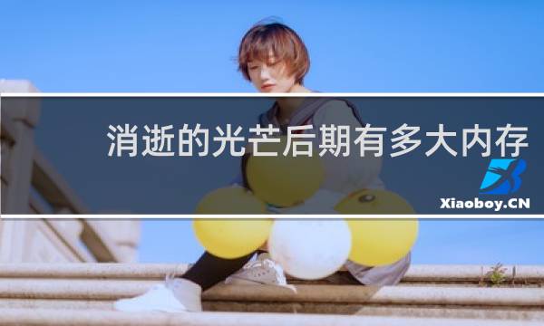 消逝的光芒后期有多大内存