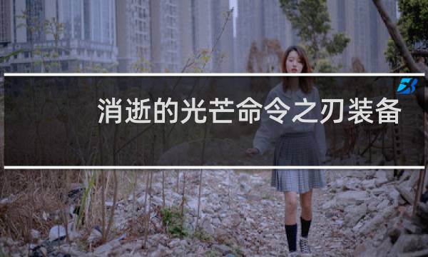 消逝的光芒命令之刃装备