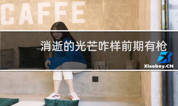 消逝的光芒咋样前期有枪