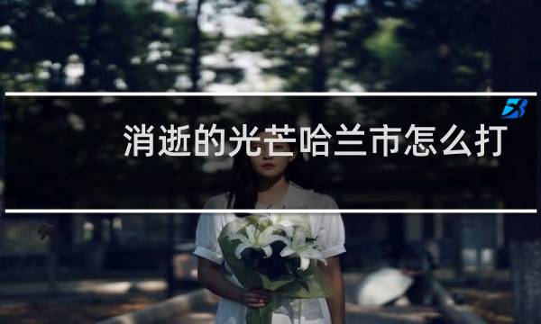 消逝的光芒哈兰市怎么打