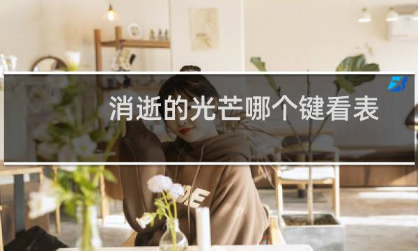 消逝的光芒哪个键看表