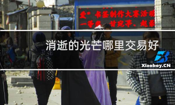 消逝的光芒哪里交易好