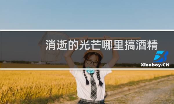消逝的光芒哪里搞酒精