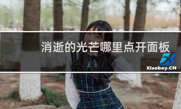 消逝的光芒哪里点开面板