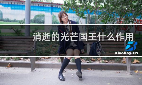 消逝的光芒国王什么作用