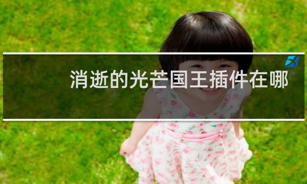 消逝的光芒国王插件在哪