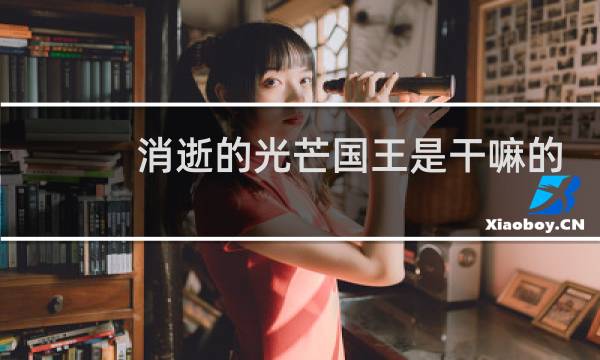 消逝的光芒国王是干嘛的