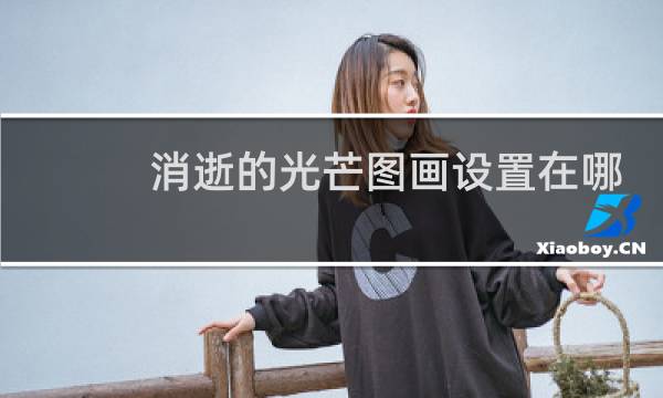 消逝的光芒图画设置在哪