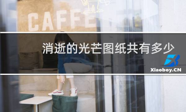 消逝的光芒图纸共有多少