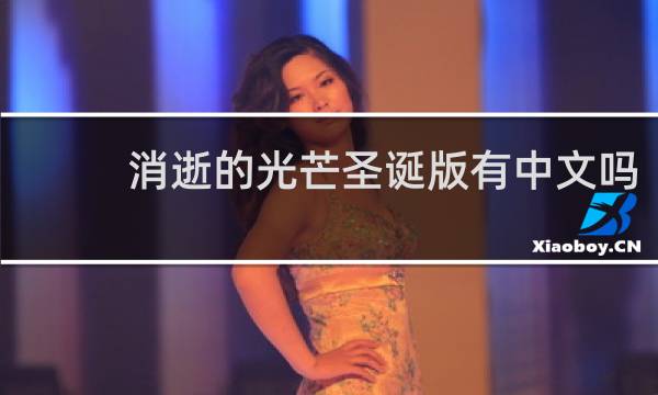 消逝的光芒圣诞版有中文吗