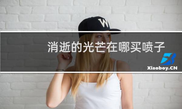 消逝的光芒在哪买喷子