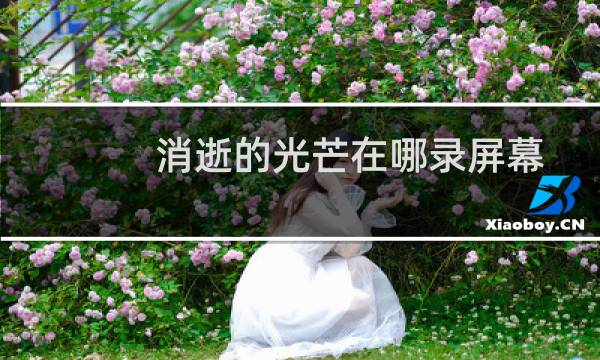 消逝的光芒在哪录屏幕