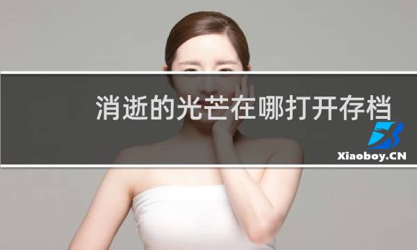 消逝的光芒在哪打开存档