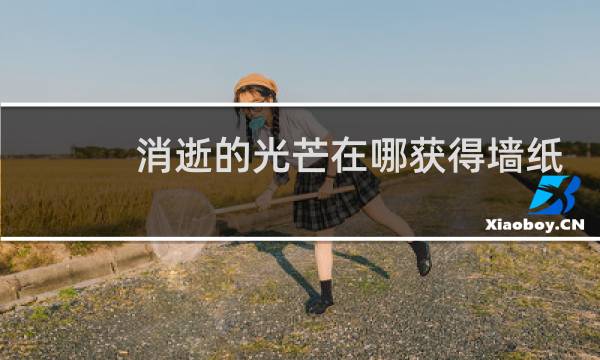 消逝的光芒在哪获得墙纸