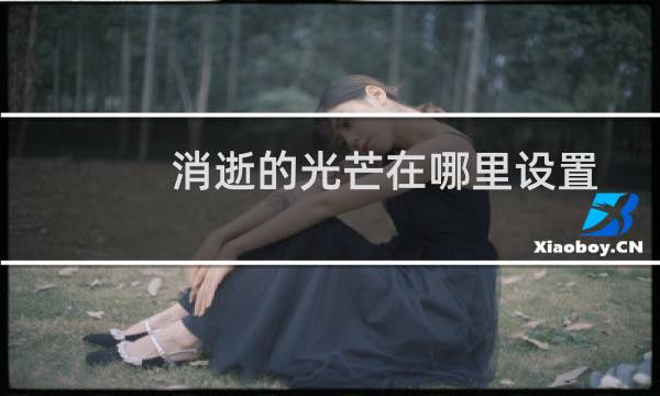 消逝的光芒在哪里设置