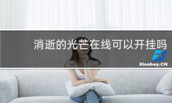 消逝的光芒在线可以开挂吗