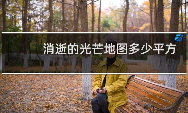 消逝的光芒地图多少平方