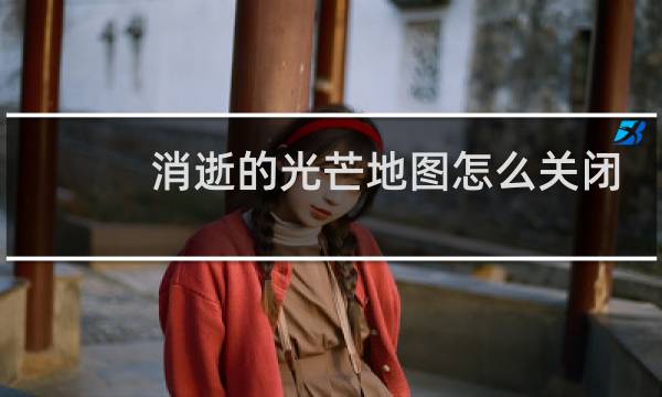 消逝的光芒地图怎么关闭