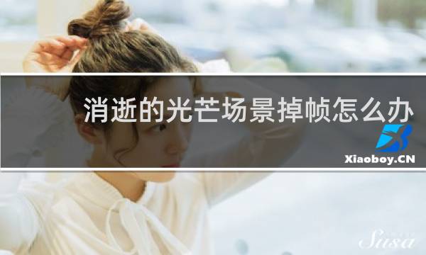 消逝的光芒场景掉帧怎么办