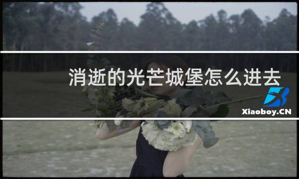消逝的光芒城堡怎么进去