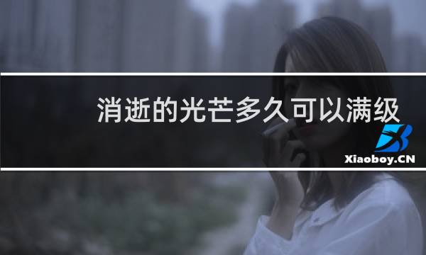消逝的光芒多久可以满级