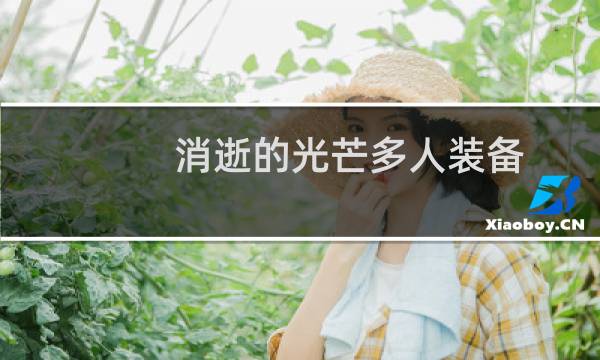 消逝的光芒多人装备