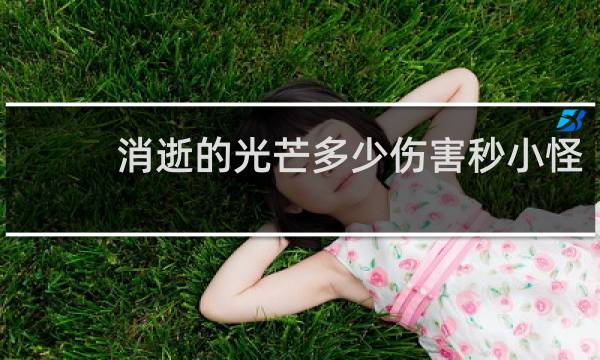 消逝的光芒多少伤害秒小怪