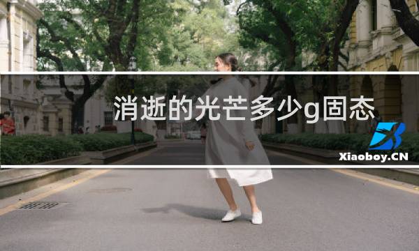 消逝的光芒多少g固态