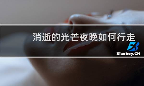 消逝的光芒夜晚如何行走