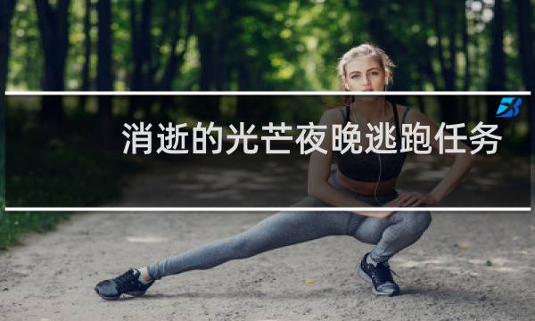 消逝的光芒夜晚逃跑任务