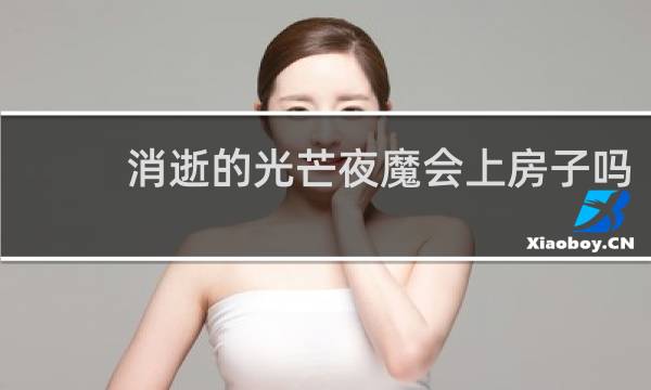 消逝的光芒夜魔会上房子吗