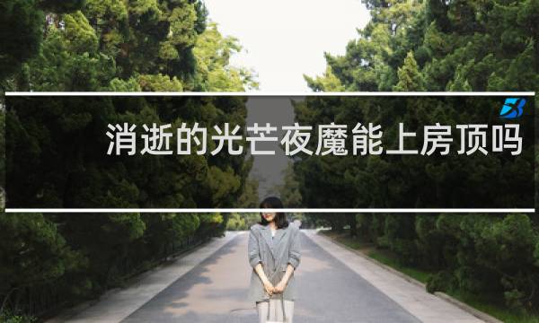 消逝的光芒夜魔能上房顶吗
