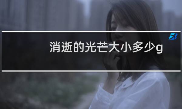 消逝的光芒大小多少g