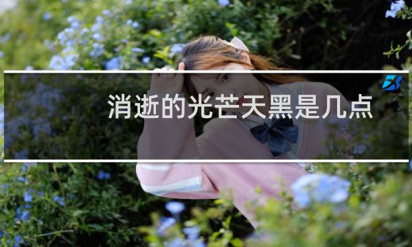 消逝的光芒天黑是几点