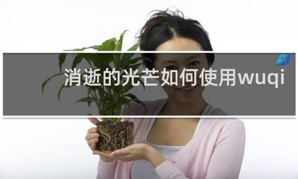 消逝的光芒如何使用wuqi