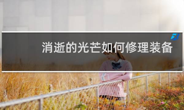 消逝的光芒如何修理装备
