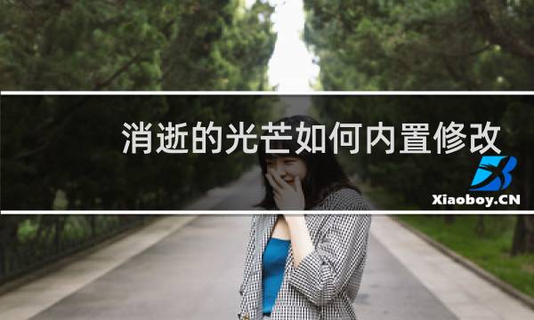 消逝的光芒如何内置修改