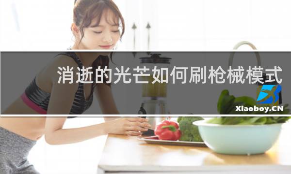 消逝的光芒如何刷枪械模式