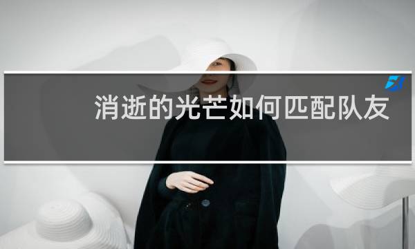 消逝的光芒如何匹配队友