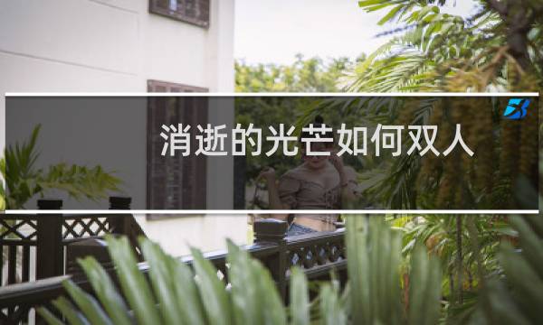 消逝的光芒如何双人