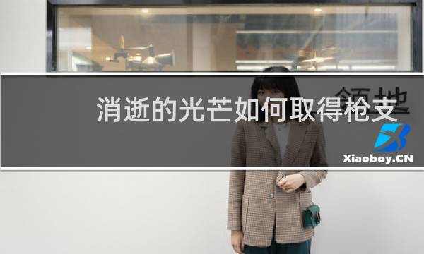 消逝的光芒如何取得枪支